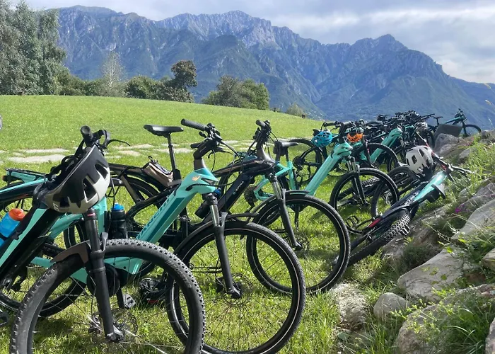 Appartamento - Treeb Tramontana