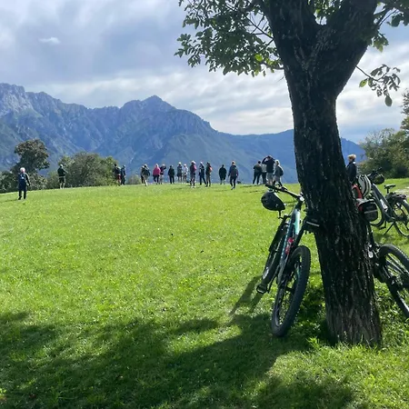 - Treeb Tramontana Apartment *