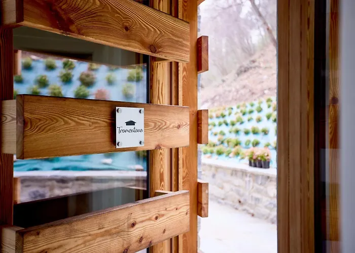 - Treeb Tramontana *