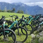 Апартаменты - Treeb Tramontana